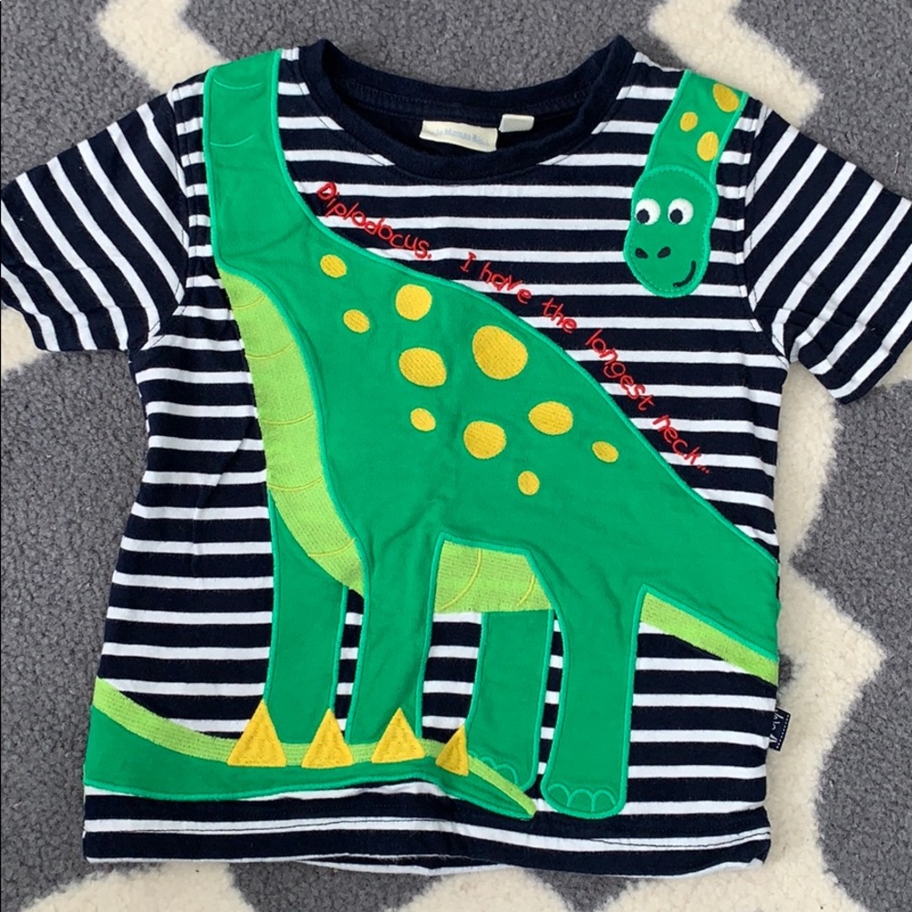 Boys dinosaur t-shirt